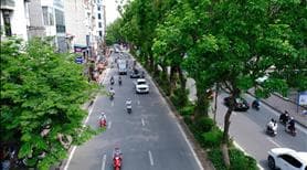 Cho thuê mặt bằng Lê Văn Lương, Thanh Xuân - dt 237m2, MT 12m, sàn thông đẹp - Ảnh 2