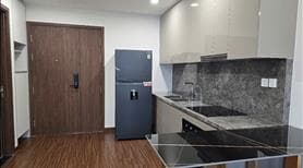 Cho thuê chung cư 1 Ngủ vinhomes ocean park 1 - Ảnh 2