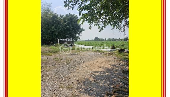 Siêu Phẩm mặt tiền Sông Vàm Cỏ Đông, 600m2 chỉ 1,4ty, mặt tiền sông rộng 15m