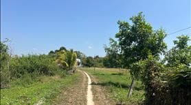 Đất Ngộp Gần Biển, Sổ Riêng, Đường Ô Tô 10x32(341m2) 60m2 Thổ Giá 800 Triệu - Ảnh 2