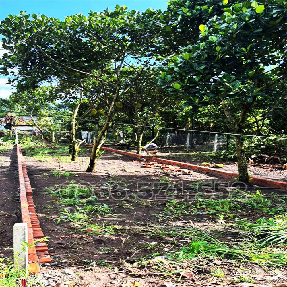 TẦM 800Tr HIẾM CÓ VỊ TRÍ NÀO NGAY TRUNG TÂM, GẦN TRƯỜNG, CHỢ VÀ KCN, NHƯ NÀY! - Ảnh 3