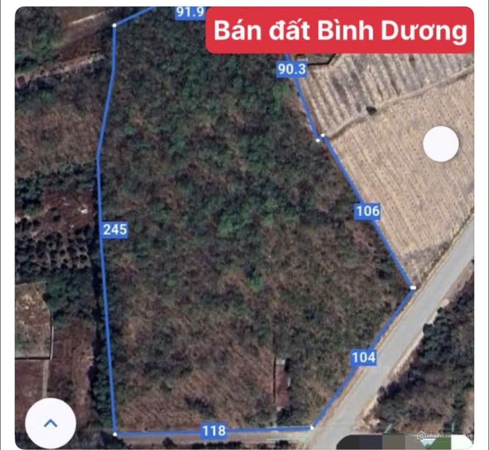 Chuyển nhượng lô đất mặt tiền đường Hồ Chí Minh, An Lập, Dầu Tiếng, Bình Dương - Ảnh 2